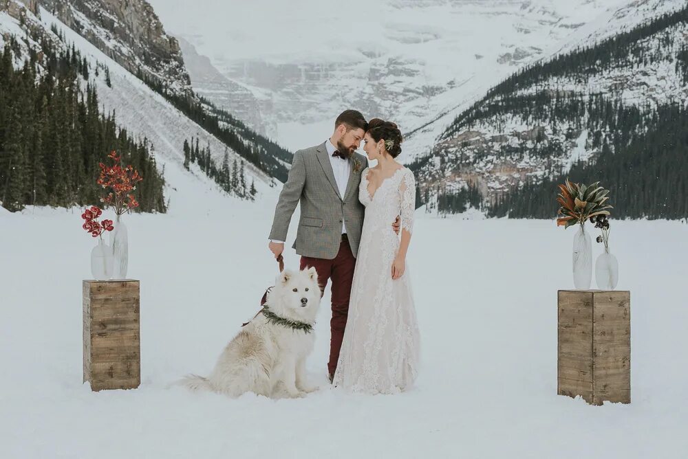 Свадьба Елены и Дмитрия